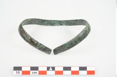 Foto von Bronzeschaukelfußreif (NHMW-PRAE-025995)